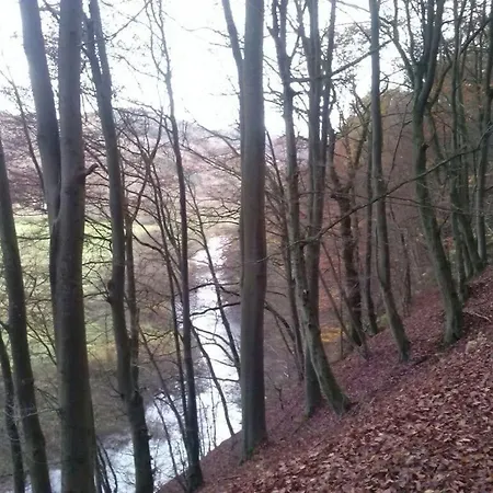 Waldblick Ii Waldbreitbach