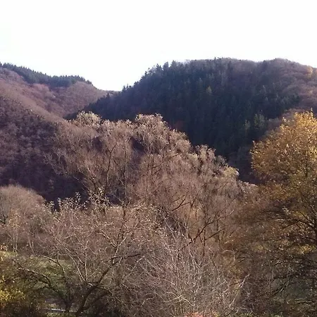 Waldblick Ii Apartamento