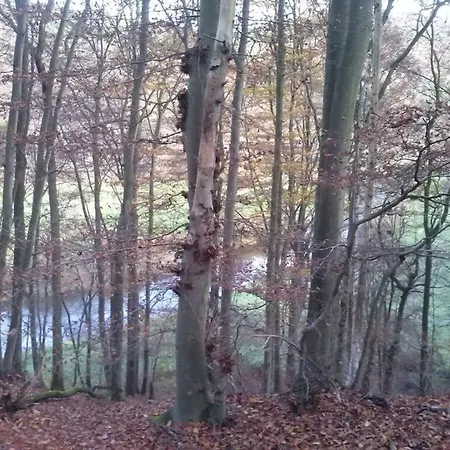 Waldblick Ii Apartamento *